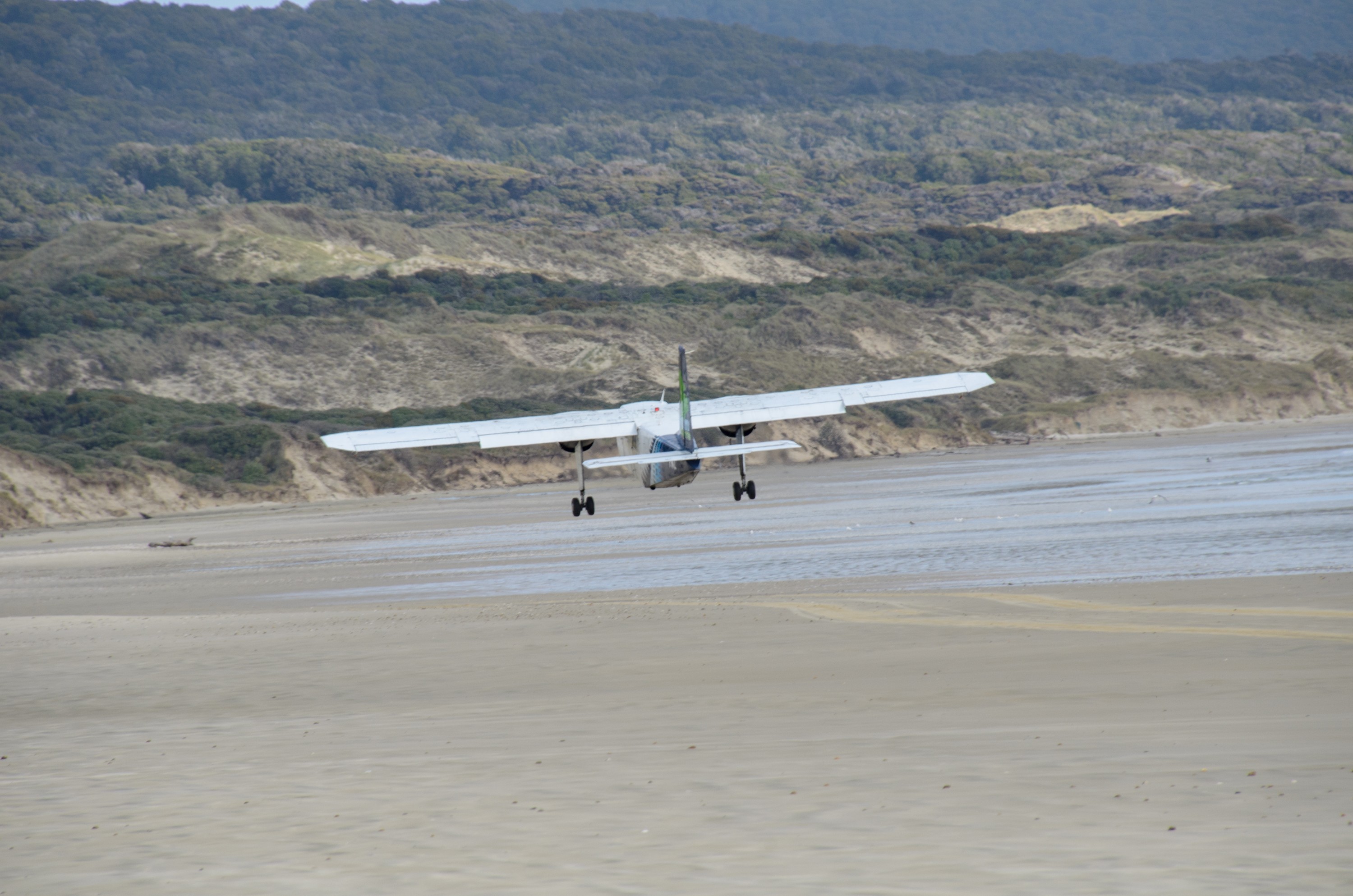 DSC_1838 – Adventure, Bay, Crispin, Island, March 2017, Mason, Mason Bay, National Park, New, New Zealand, Rakiura, South, Stewart, Zealand